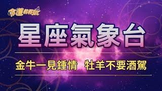 【命運好好玩】2024/10/2星座運勢 - 金牛一見鍾情 牡羊不要酒駕