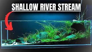 I MADE A SHALLOW RIVER FOR TINY FISH! Aquascape Tutorial