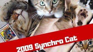 DSF FORMAT SYNCHRO CAT RETRO DECK PROFILE 2009 YUGIOH!