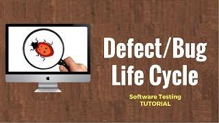 Defect/Bug Life Cycle: Software Testing Tutorial 23