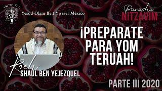 PARASHA NITZAVIM PARTE III 2020 | ¡PREPARATE PARA YOM TERUAH!