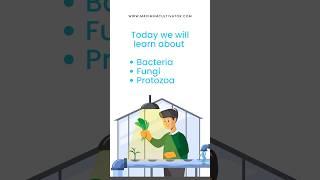 Today’s Lesson: Meet the Tiny Helpers in Hydroponics  #hydroponics #gardening #verticalgardening