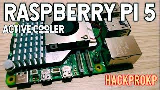 Raspberry Pi 5 8GB Unboxing, Active Cooler Installation | No Commentary | HackProKP