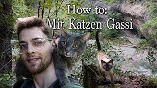 Mit Katzen Gassi gehen (Schritt-für-Schritt-Anleitung)