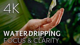 7 HOURS Best 4K Water Droplet Sound Effect | Unguided Meditation, Relax, Sleep, Study, Nature Sounds