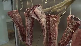  Discovering the Custom Stagionello Meat Curing Device line