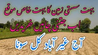 غیر آباد بہت سستی زرعی زمین برائے فروختUninhabited very affordable agricultural land for sale #viral