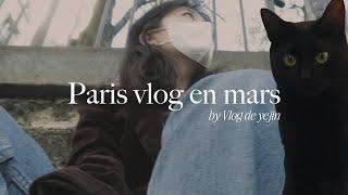 (ENG) Paris vlog  파리에서 우주최강 귀염뽀짝 고양이의 집사로 사는 법, 이케아 앞에서 봉변 당한 이야기.. + 소소한 음악 추천