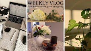 PRODUCTIVE WEEKLY VLOG! Work, Gym Grind, Trader Joes,  New Apartment Decor | Neidg Axi