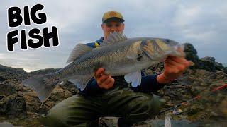 LURE FISHING FOR BASS FROM THE ROCKS - THE BEST MORNING EVER - ONE STANDOUT LURE! BIG SEA BASS