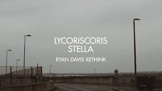 Lycoriscoris - Stella (Ryan Davis Rethink)