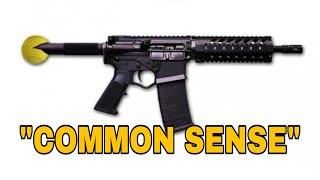 Common Sense Gun Laws