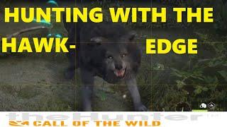 Bowhunting with the HawkEdge |theHunter: Call Of The Wild