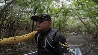 Explorando a Amazônia Alagada de Jet Ski: Sem Trilhas, Apenas GPS e Natureza Selvagem!