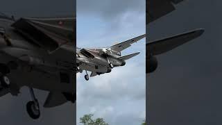 Landing my 64mm EDF Tomcat, video by Andy