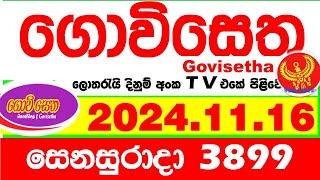 Govisetha 3899 2024.11.16 Today nlb Lottery Result අද ගොවිසෙත දිනුම් ප්‍රතිඵල  Lotherai dinum anka