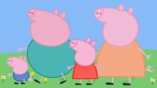 50 variations of Peppa Pig family