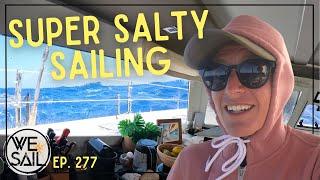 Super Salty Sailing in Tonga | Episode 277