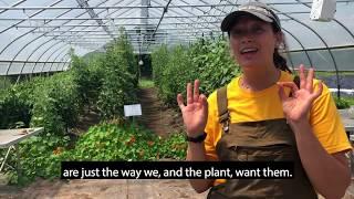 Farber Farm Tour with Jess Wolfe