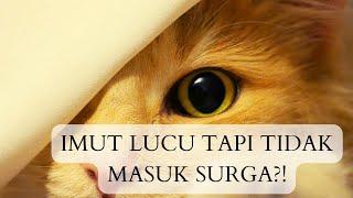 Imut Lucu Menggemaskan Tapi Tidak Bisa Masuk Surga?! Berikut Hewan Ini!