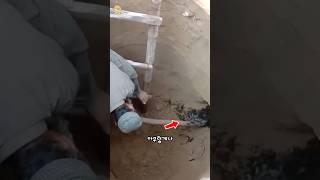 땅도 함부로 파면 안되는 곳 ㄷㄷ