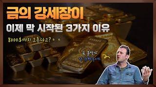 금 가격이 8000$까지 올라간다고?