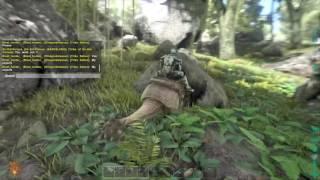 Ark Survival