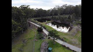 My Cut Flower Farm : Aerial/Drone Video : Australia