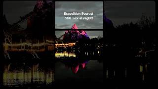 Expedition Everest at night! . #familyfriendly #disney #disneyrollercoaster #disneyrides