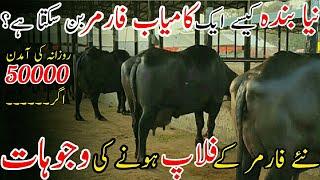 50000 Daily Income |Buffalo Farming In Pak |Dairy Farming In Pak |Dairy Farm India