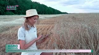 GRANTURI PENTRU AFACERI AGROALIMENTARE