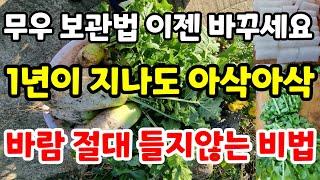 무우보관 이젠 바꿔 1년이 지나도 아삭아삭 바람 절대 들지않는비법 김장무우 요리 무우수확 무우청 #깍뚜기#무우시래기#무우장아찌#무우김치#무우국#무우말랭이#무우효능#인기급상승동영상