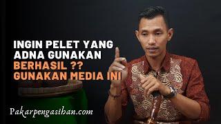 MEDIA UNTUK PELET YANG AMPUH || MBAH NASIR