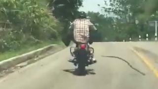 SNAKE LAUNCHES AND JUMPS AT MOTORCYCLISTS