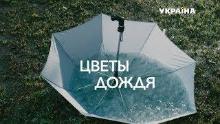 Цветы дождя (Серия 1)