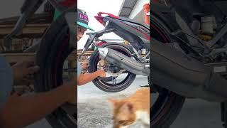 REVIEW PRO WAX SILICONE AT MOTORCYCLE TYRE