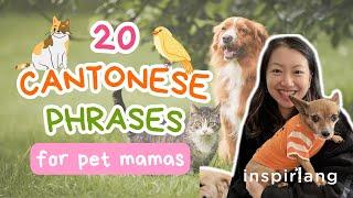 Learn 20 Cantonese Phrases | Furry Animal Edition