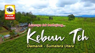 Pesona Kebun Teh Damanik Sumatera Utara // View Drone