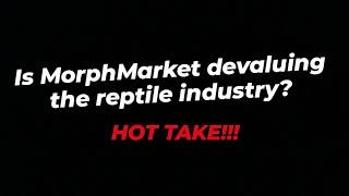 Is MorphMarket devaluing the reptile industry?