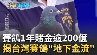 全台賽鴿一年賭金超過200億!? 北海.南海大不同 建銘曝內行人最愛玩"破無比"獎金賭得超高? ｜邱沁宜 主持｜20220217｜錢進新世界 feat.建銘