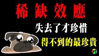 《心理學不玄》稀缺效應- “稀缺”是刻意營造的心理壓迫【JT才知道】