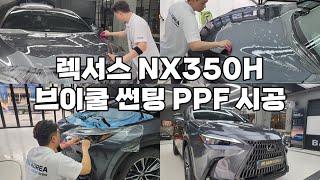 렉서스 NX350H 썬팅 & ppf 시공 [LEXUS NX350H]