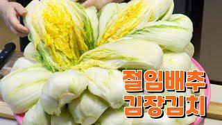 20kg 절임배추로 든든한 겨울준비 맛있는 김장김치 담그기