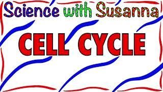 Cell Cycle