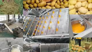 Vegetable Processing Line Small Scale Fruit Washing Peeling Drying Cutting Juicing Plant