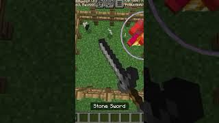 How Many Shots Of Stone Sword We Need To Kill A Zombie In Minecraft #minecraft #stonesword #gaming