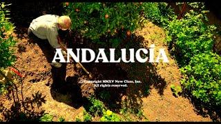 NEW CLASS - ANDALUCÍA (Video Oficial)