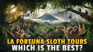 La Fortuna Sloth Tours Reviews | Which Is The Best?