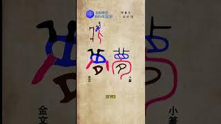 "梦"，Over 4600 oracle bones, learn a little bit every day.