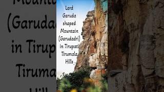 Lord Garuda shaped mountain (Garudadri) in Tirupati Tirumala Hills (Saptagiri) #shorts